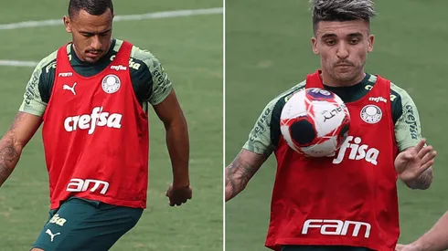 Fotos: Cesar Greco/Flickr do Palmeiras/Divulgação