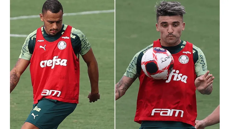 Fotos: Cesar Greco/Flickr do Palmeiras/Divulgação