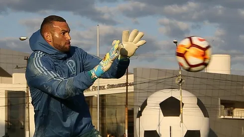 Weverton destaca postura do elenco na vitória do Palmeiras diante do Grêmio
