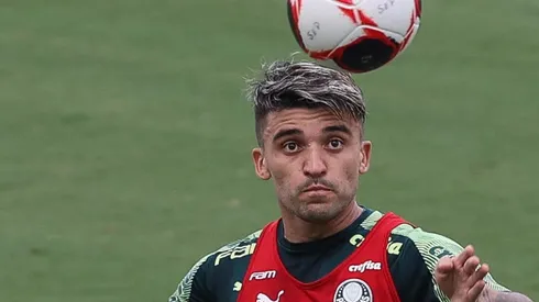 Foto: Flickr Sociedade Esportiva Palmeiras - autor: César Greco