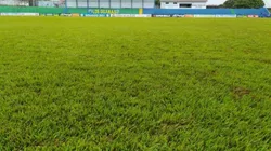 Goiás tem estreia adiada pelo Goiano por más condições do gramado