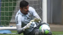 Foto: Flickr Santos Futebol Clube - autor: Ivan Storti