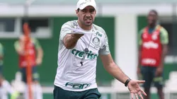 Foto: Flickr Sociedade Esportiva Palmeiras - César Greco