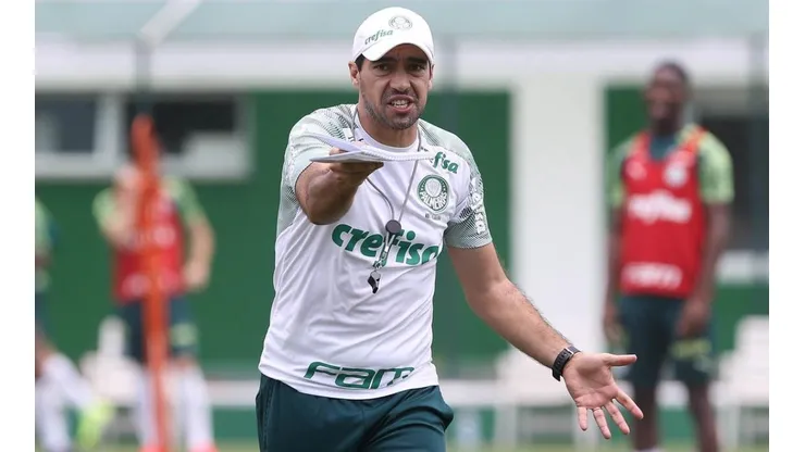 Foto: Flickr Sociedade Esportiva Palmeiras - César Greco