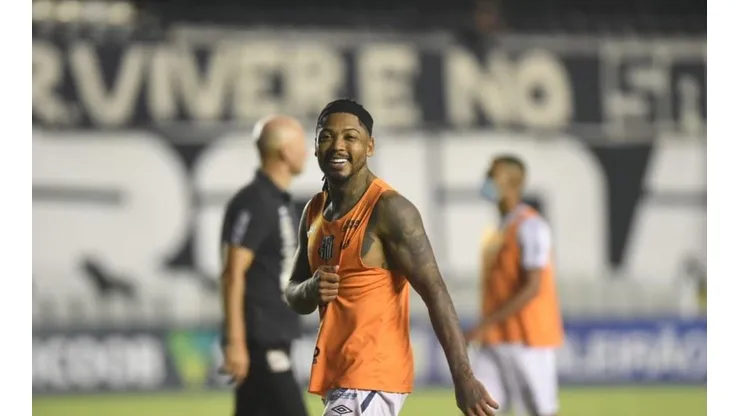 Foto: Ivan Storti/Flickr Santos FC/Divulgação
