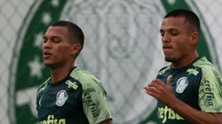 Foto: Cesar Greco/Flickr do Palmeiras/Divulgação