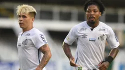 Foto: Ivan Storti/Flickr Oficial Santos FC/Divulgação