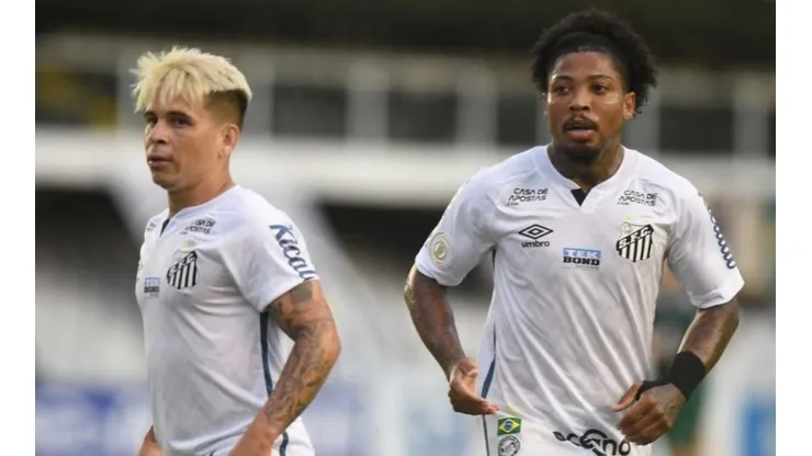 Foto: Ivan Storti/Flickr Oficial Santos FC/Divulgação