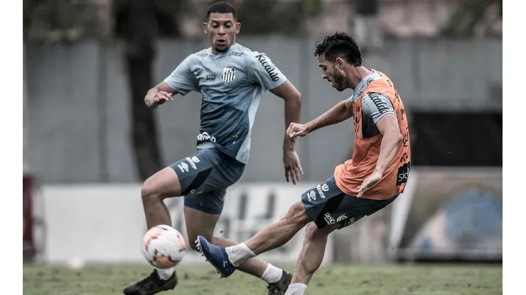 Foto: Ivan Storti/Flickr Oficial do Santos FC/Divulgação