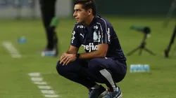 Foto: Flickr Sociedade Esportiva Palmeiras - César Greco