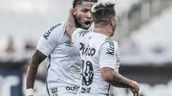 Foto: Ivan Storti/Flickr Oficial do Santos