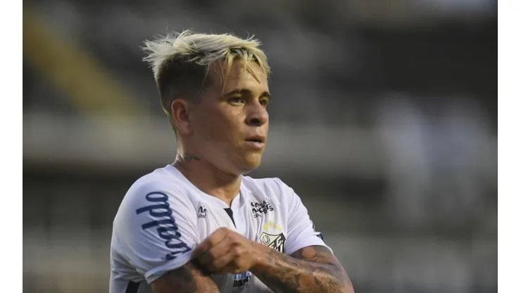 Foto: Ivan Storti/Flickr Oficial Santos FC