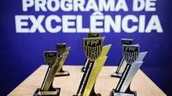 Palmeiras volta ao prêmio de ouro da FPF após dois anos