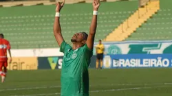 Foto: Israel Oliveira/Guarani FC.