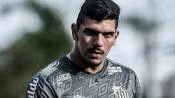Fotos: Ivan Storti/Santos FC