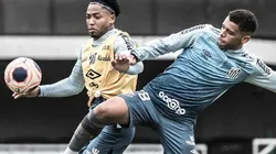 Foto: Ivan Storti/Santos FC/Divulgação