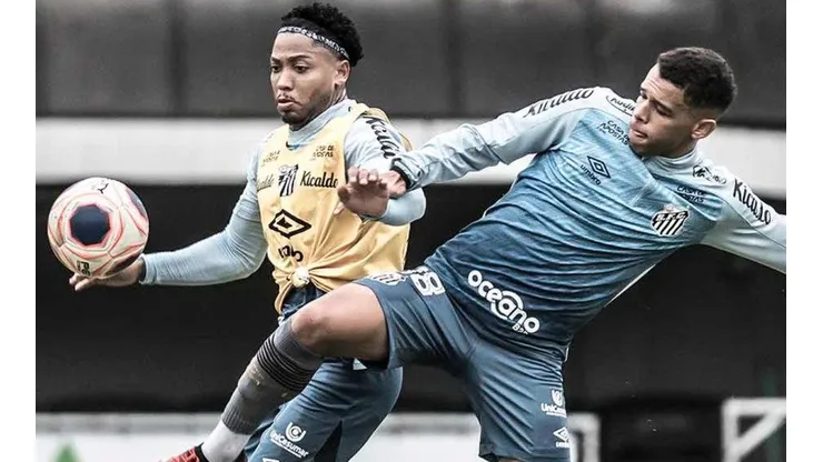 Foto: Ivan Storti/Santos FC/Divulgação