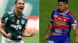 Palmeiras x Fortaleza duelam neste domingo (14), no Allianz Parque, pelo Brasileirão