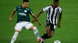 São Paulo tem interesse na contratação de Kanu, zagueiro do Botafogo