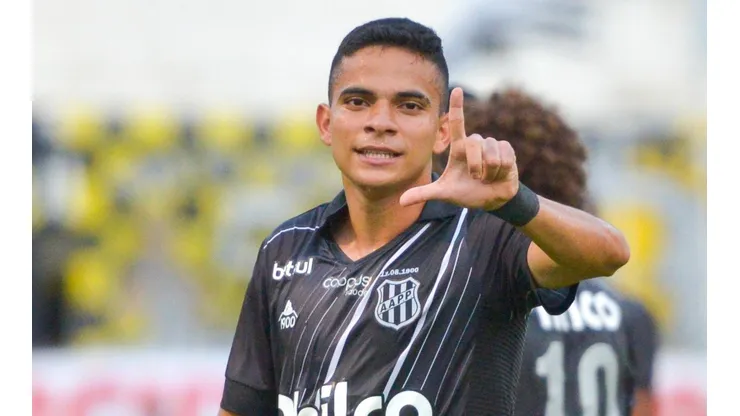 (Foto: Divulgação/Ponte Preta/Flickr)