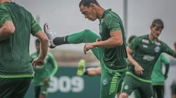 Foto: Divulgação/Coritiba