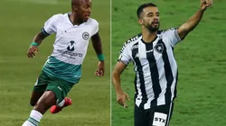 Goiás x Botafogo: Como assistir AO VIVO esse jogo do Brasileirão