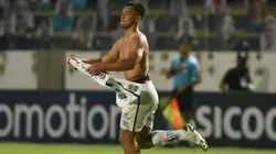 Marcos Leonardo afirma que Santos brigará até o fim por vaga na Libertadores