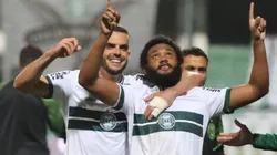 Divulgação/Coritiba