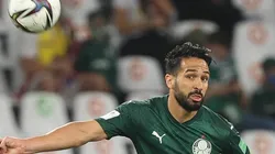 (Foto: Cesar Greco/Palmeiras/Divulgação)