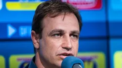 Atacante pode chegar ao time celeste. Bruno Haddad/Cruzeiro