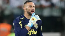 Foto: César Greco/Palmeiras
