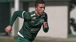 Coritiba - Divulgação