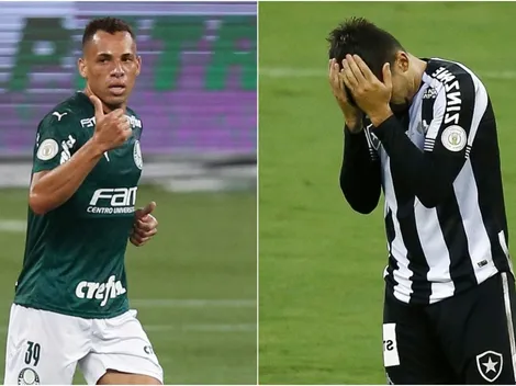 Palmeiras x Botafogo: Saiba onde assistir AO VIVO