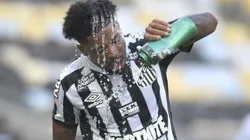 Santos precisa acordar na competição nacional - Foto: Ivan Storti/Santos FC.