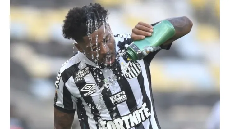 Santos precisa acordar na competição nacional - Foto: Ivan Storti/Santos FC.