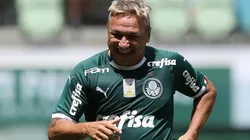 Paulo Nunes tem história no Verdão - Foto: Divulgação/Palmeiras.