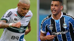 Coritiba x Grêmio duelam neste domingo (31), pelo Brasileirão