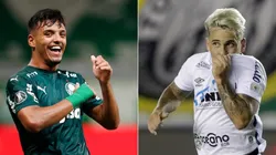 Palmeiras e Santos vão jogar pela final da Copa Libertadores neste sábado (30)
