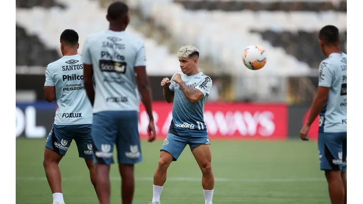 Ex-Santos declarou torcida para o Peixe na final da Libertadores