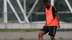 Após não avançar com Wesley, o Glorioso renovou com defensor destaque. Vitor Silva/Botafogo