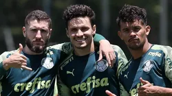 Foto: César Greco / Ag. Palmeiras
