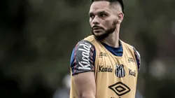 Pará desafiou o Verdão. Foto: Ivan Storti/Santos FC