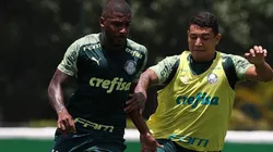 Foto: César Greco / Ag. Palmeiras