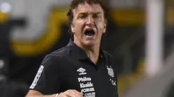 Foto: Ivan Storti/Santos FC