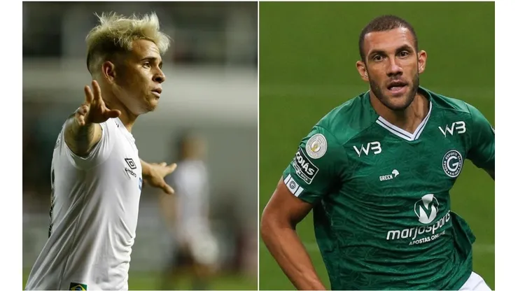 Santos e Goiás se encaram neste domingo (24), na Vila Belmiro