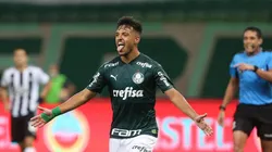 Gabriel se declara ao Palmeiras