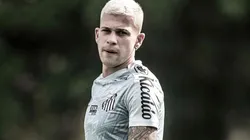 Foto: Ivan Storti/Santos FC