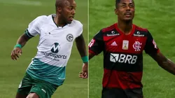 Goiás x Flamengo: como assistir essa grande partida AO VIVO na TV e ONLINE