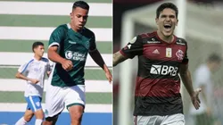 Goiás x Flamengo: hora e em quais canais ver AO VIVO e ONLINE