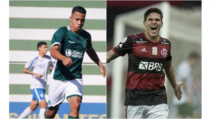 Goiás x Flamengo: hora e em quais canais ver AO VIVO e ONLINE